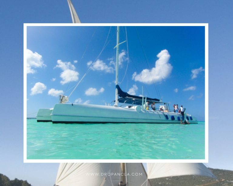 Uncovering the beauty of catamaran: From sailing to cruising